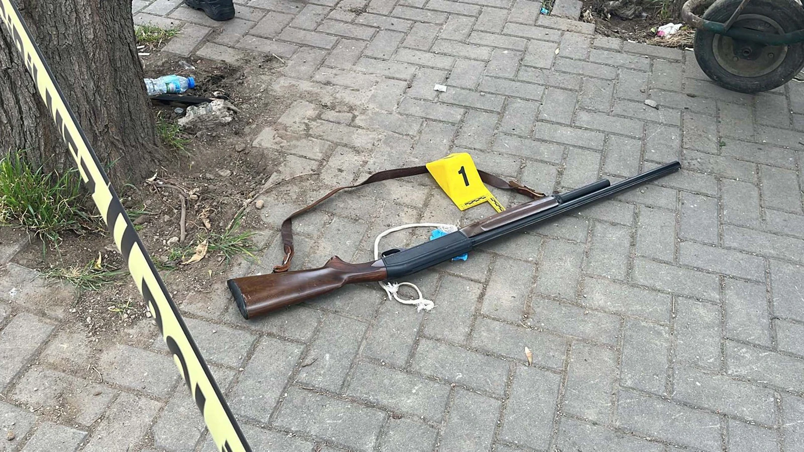 Aydın'da aile faciası: Baba, oğlunu öldüren kardeşini tabancayla vurdu