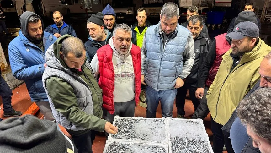 Kocaeli'de balık mezatlarında en yoğun rekabet hamside yaşandı