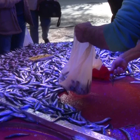 Palamut Ve Hamsi Kapış Kapış Gidiyor: Uzmanından Derin Dondurucuda Saklama Taktikleri