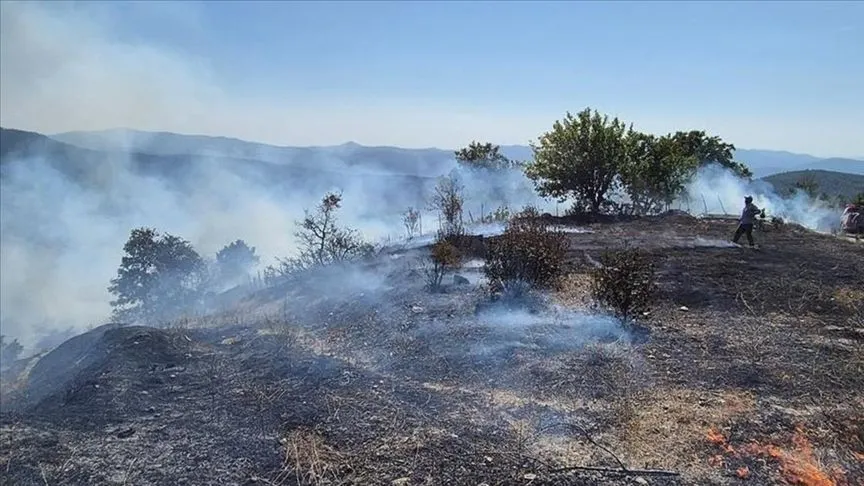 Bursa'da ormanlık alanda çıkan yangın kontrol altına alındı