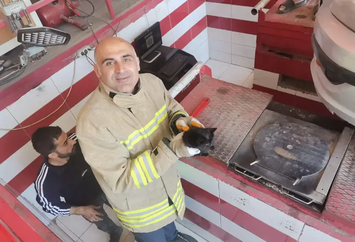Otomobilin motor kısmına sıkışan yavru kedi kurtarıldı