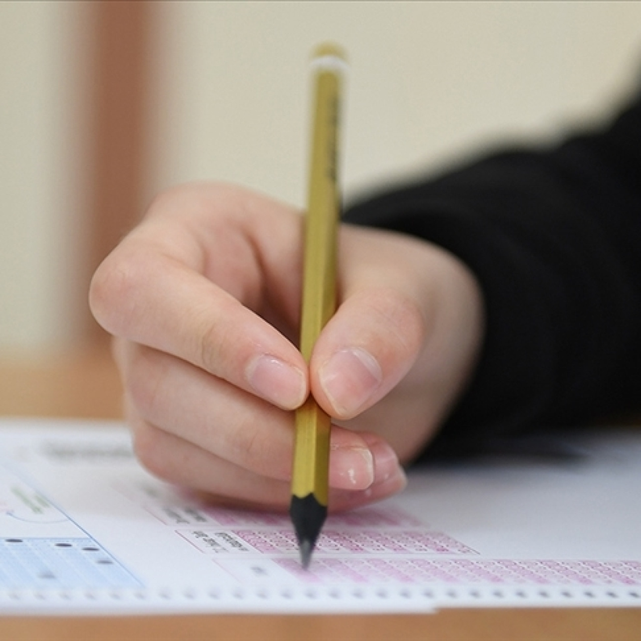 ATA AÖF sınav giriş belgesi sorgulama ekranı