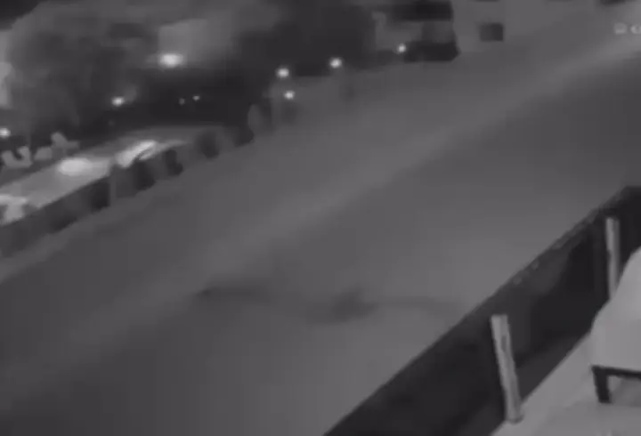 Havai fişek atıp yangın çıkaran 2 kişi, 100’er adet ağaç dikecek