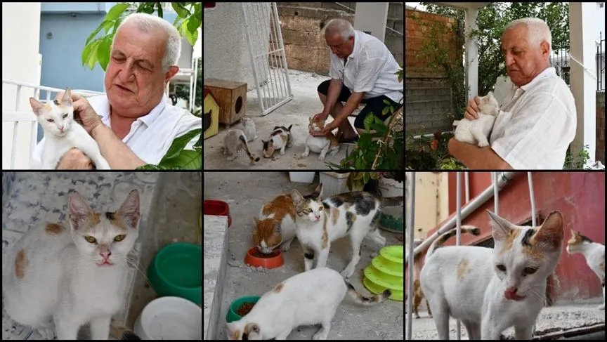 Kalbini açtığı 8 kediye evinin bahçesine koyduğu kulübelerde bakıyor