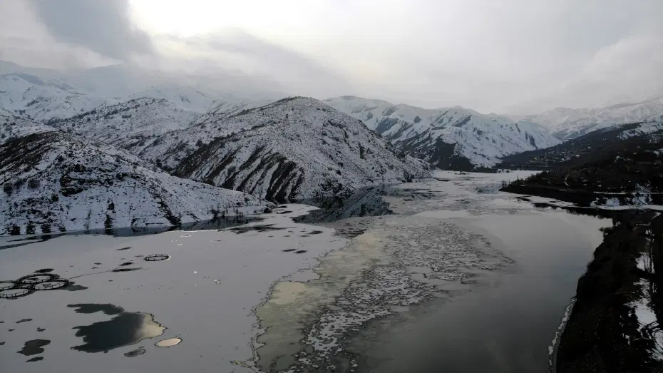 Erzincan'da baraj dondu, balık kafesleri buzlar altında kaldı