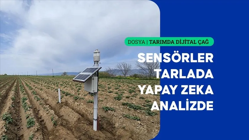Yapay zeka destekli yazılım patates üretimini dönüştürüyor