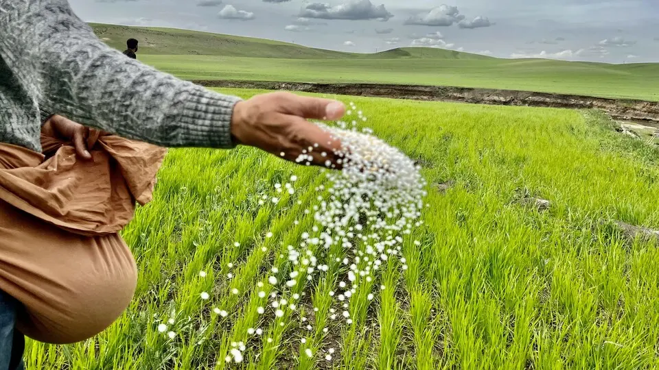 Tarımsal girdi enflasyonu Temmuz'da yükselişini sürdürdü
