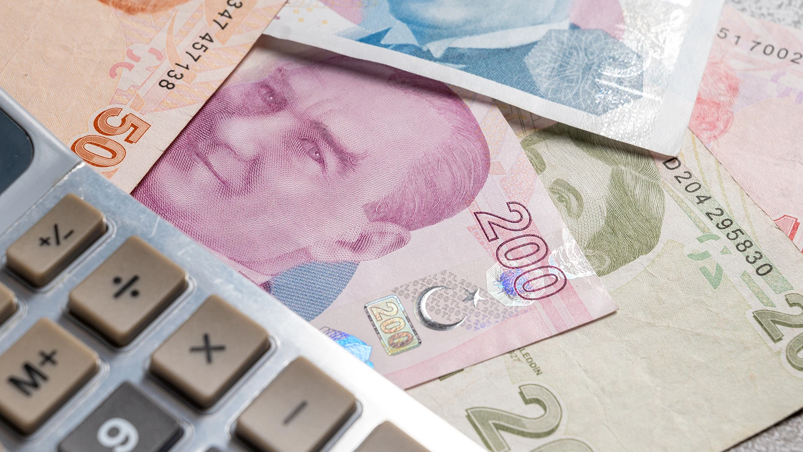 Vatandaşlık maaşının detayları belli oldu