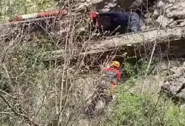 Karabük’te kayalık bölgeye düşen inek vinçle kurtarıldı