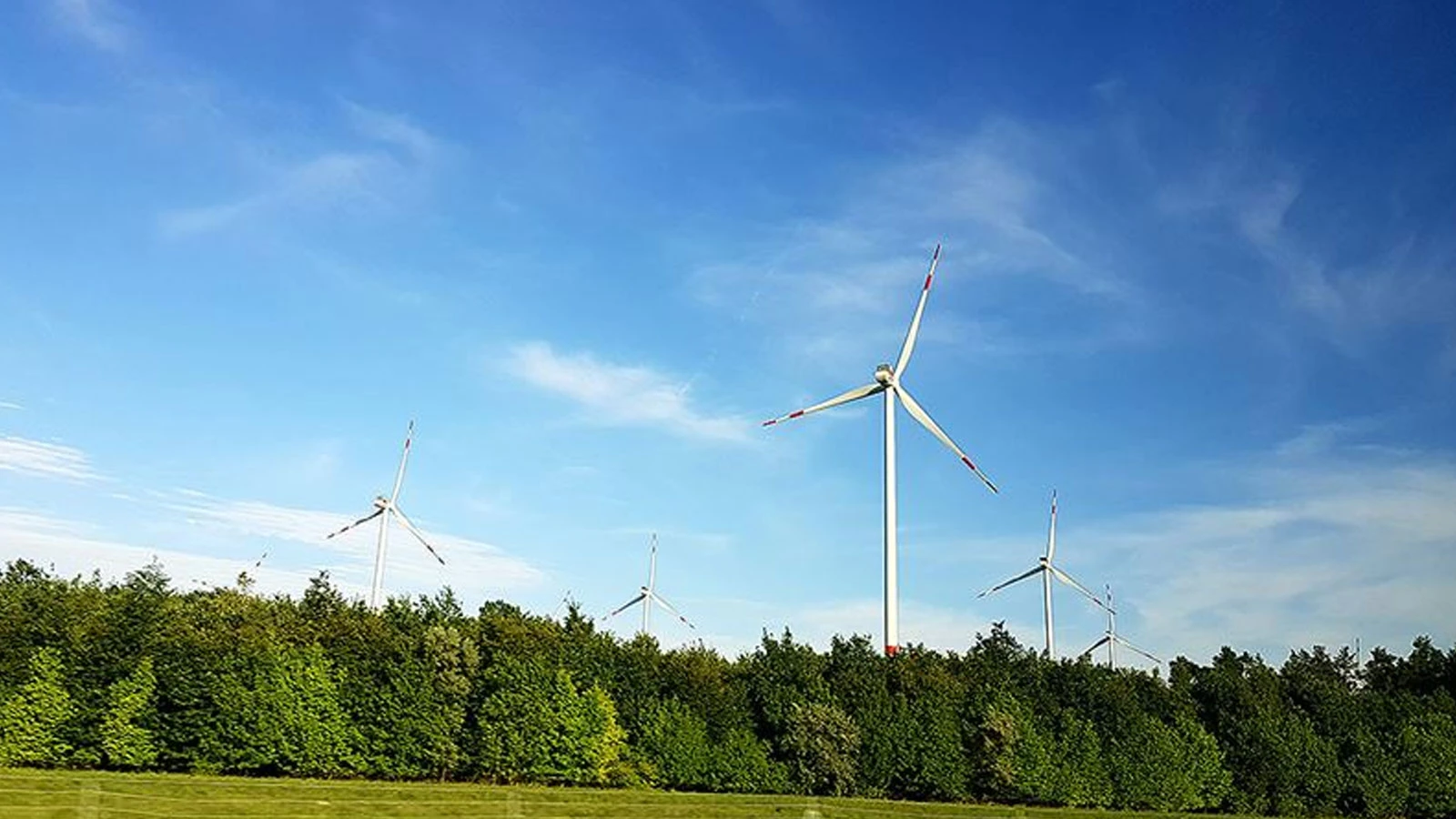 Rüzgardan elektrik üretiminde tüm zamanların rekoru kırıldı