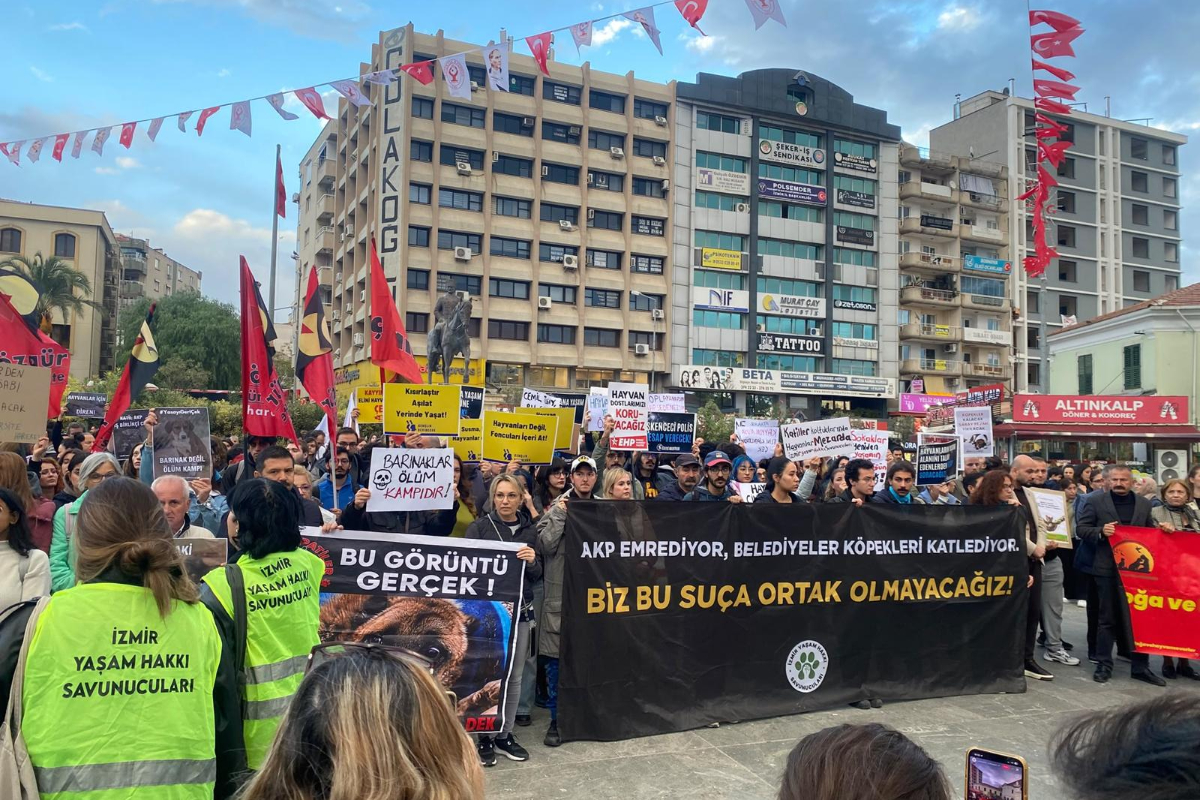 İzmir Halkından Eü’deki Köpeklerin Toplatılmasına Tepki