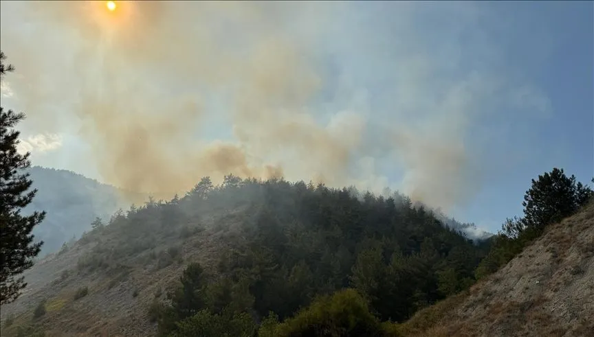 Karabük ve Denizli'de çıkan orman yangınlarına müdahale ediliyor