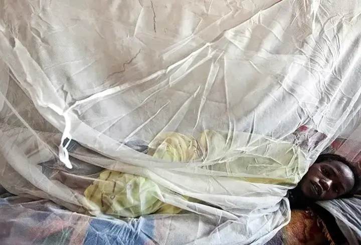 Nijerya'da Lassa ateşi nedeniyle ölenlerin sayısı yükseliyor