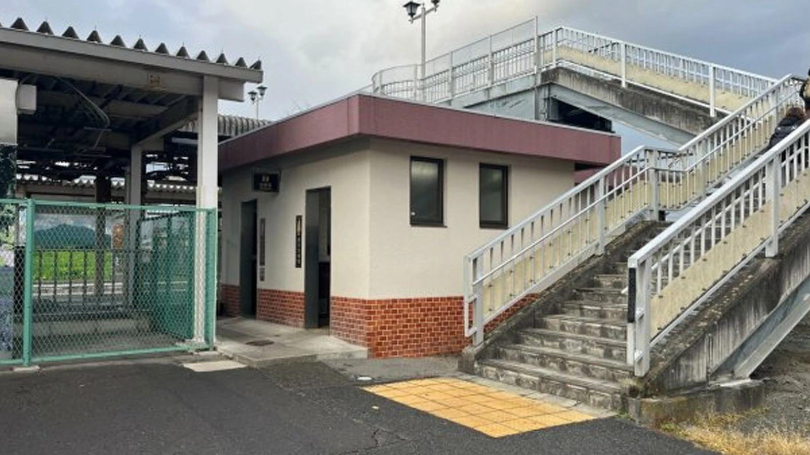 Japonya'da tren istasyonundaki umumi tuvalette ayı saldırısı