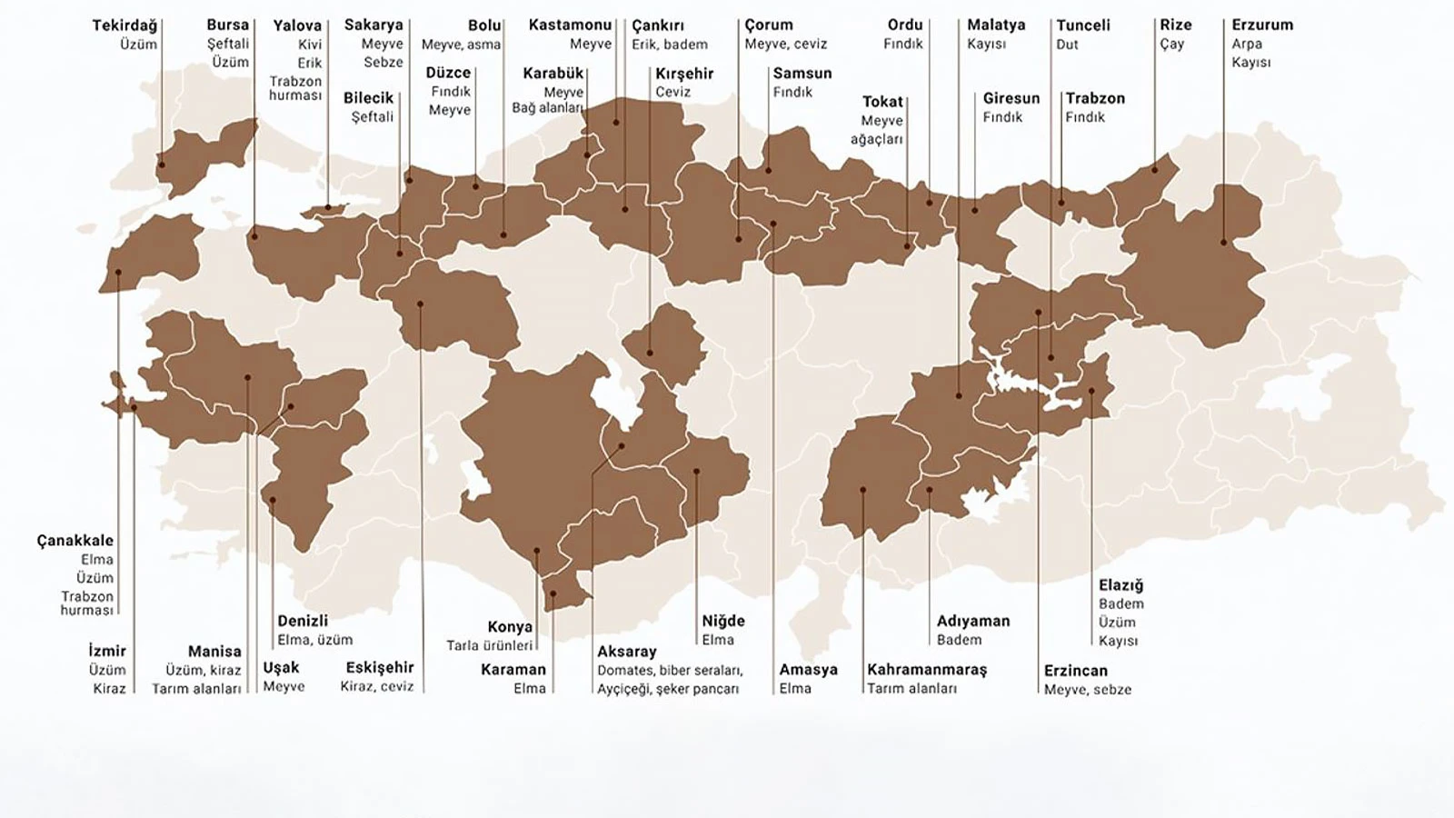 Çiftçinin hayalleri yıkıldı! Türkiye'de bu yaz kıtlık olur mu?