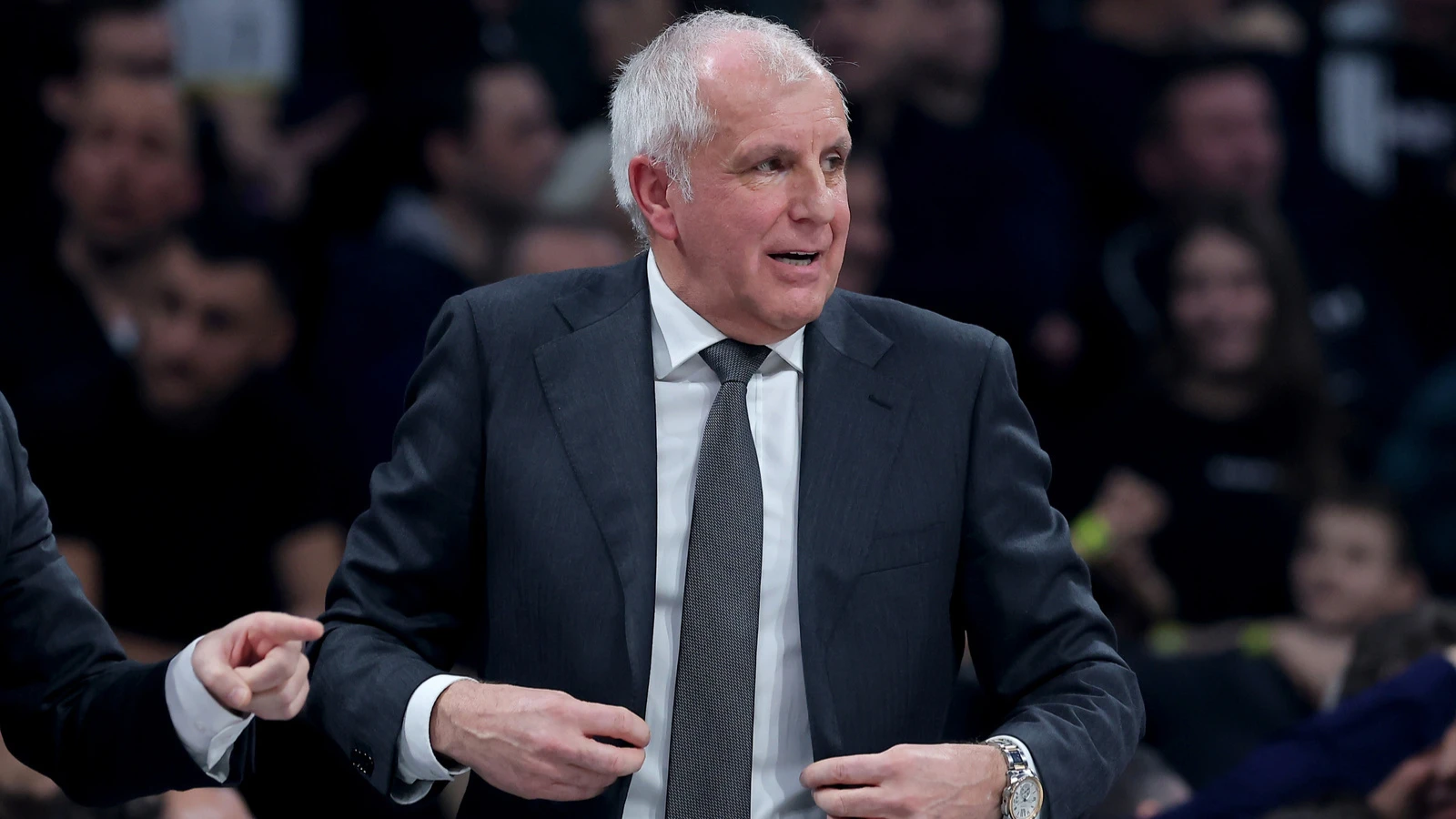 Partizan'da, Zeljko Obradovic'in istifası kabul edilmedi
