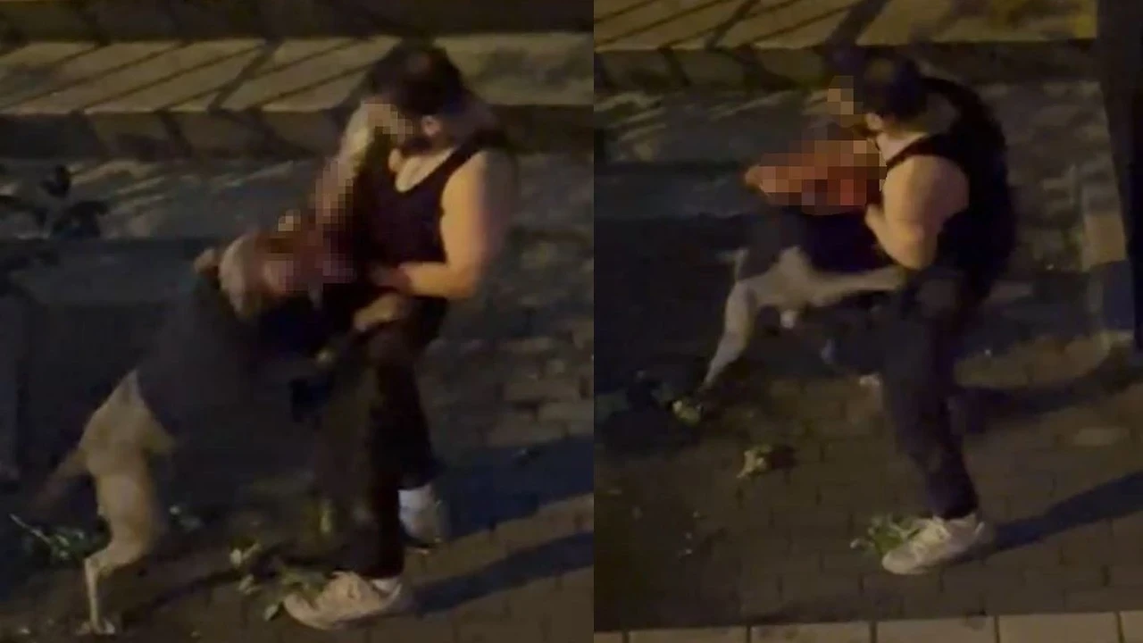 Pitbull cinsi köpek sahibine saldırdı: Dehşet anları kamerada