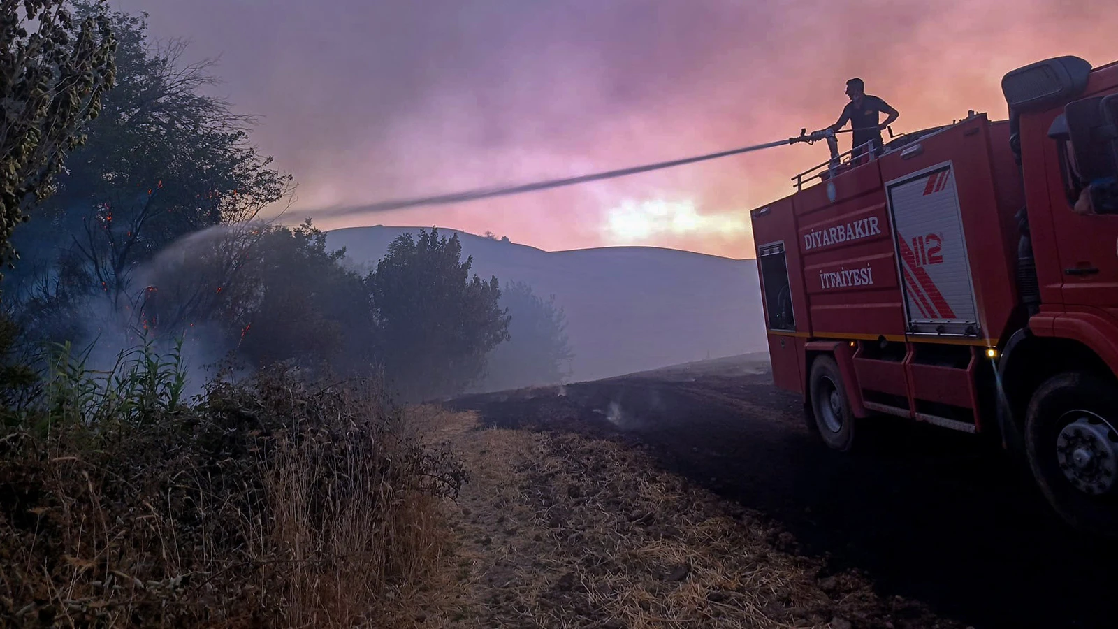 Diyarbakır'daki anız ve orman yangınları söndürüldü