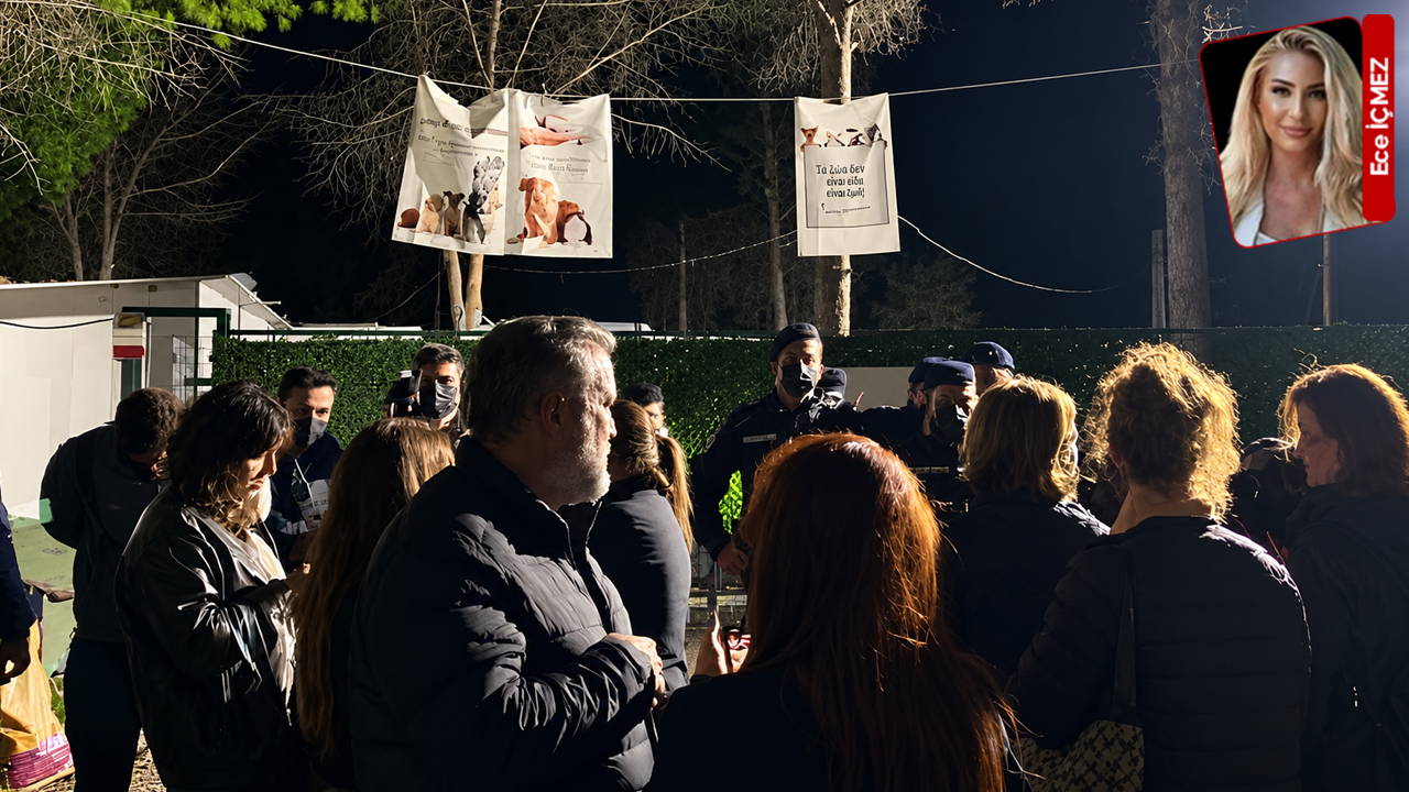 Ege Üniversitesi'nde Gece Yarısı Köpekler Toplatıldı... Bornova Belediye Başkanı Ömer Eşki'den Açıklama Geldi: 'Talimatı Kaymakamlık Verdi'