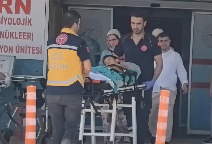 Kurban kesilen bahçede bıçağın üzerine düşen Çınar ağır yaralandı
