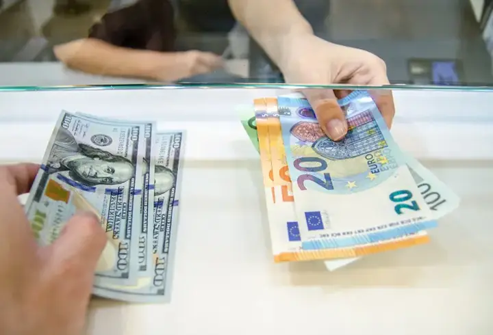 Euro, Almanya’daki kritik oylama öncesinde 5 ayın zirvesinde