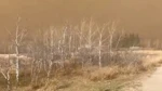 Kanada'da Wainwright Askeri Üssü'nde Yangın Çıktı: Ölü Ve Yaralılar Var