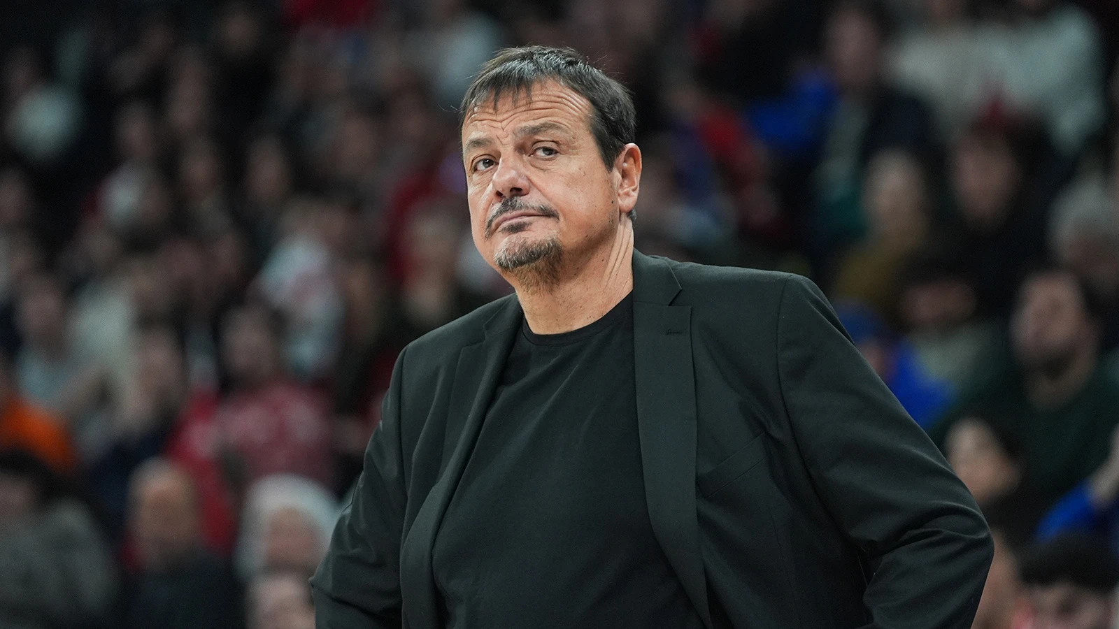 TBF, Ergin Ataman'a yapılan saldırı için inceleme talep etti