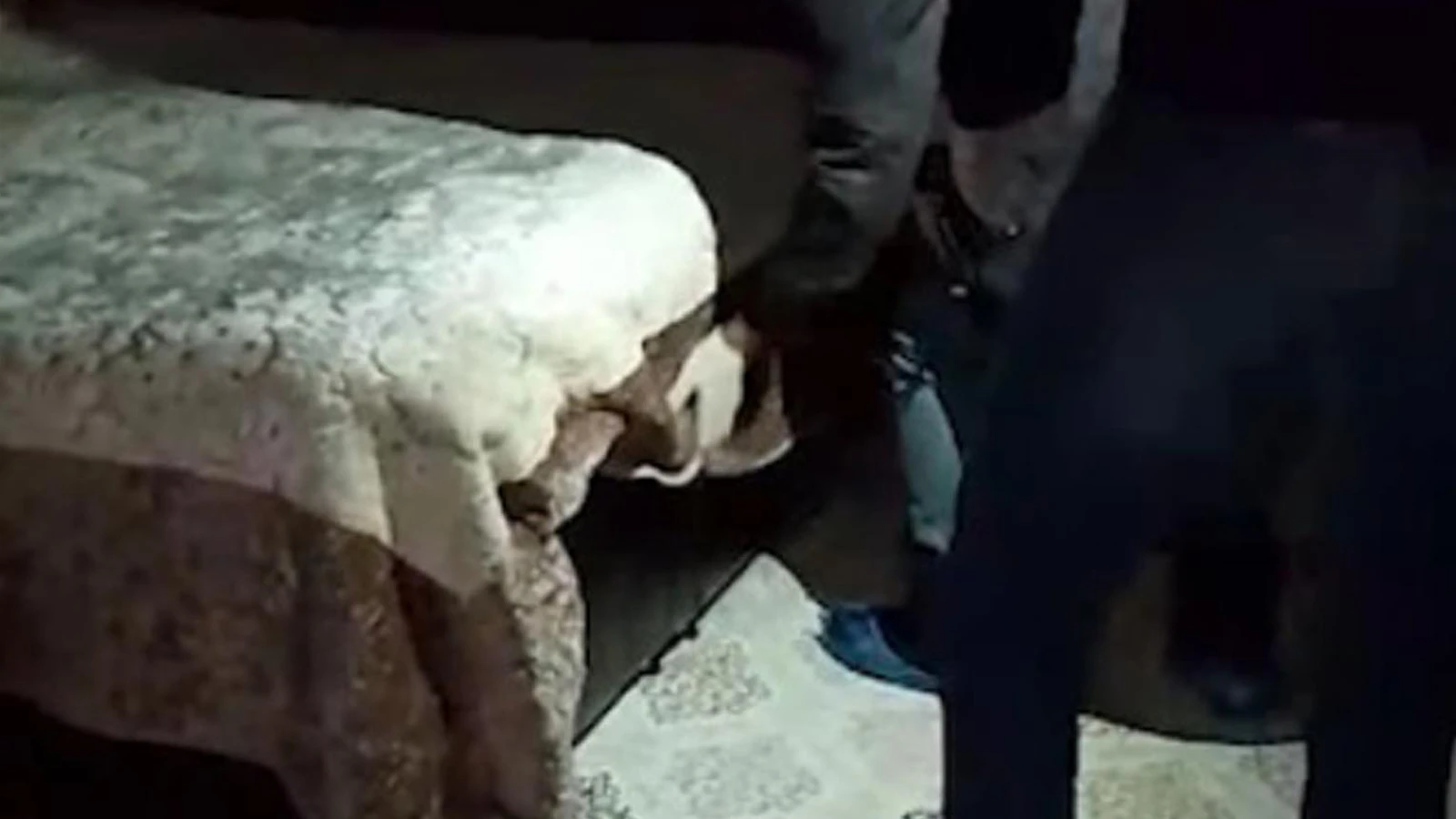 17 yıl hapisle aranıyordu; bazanın içinde saklanırken yakalandı