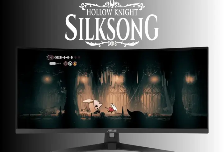 Hollow Knight: Silksong için yeni bir ayrıntı doğrulandı