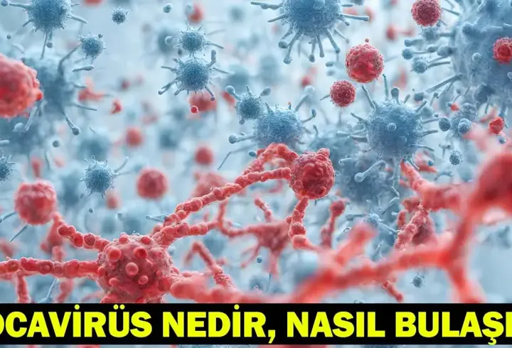 Bocavirüs Nedir, Nasıl Bulaşır? İşte Bocavirüs Hakkında Bilinmesi Gerekenler