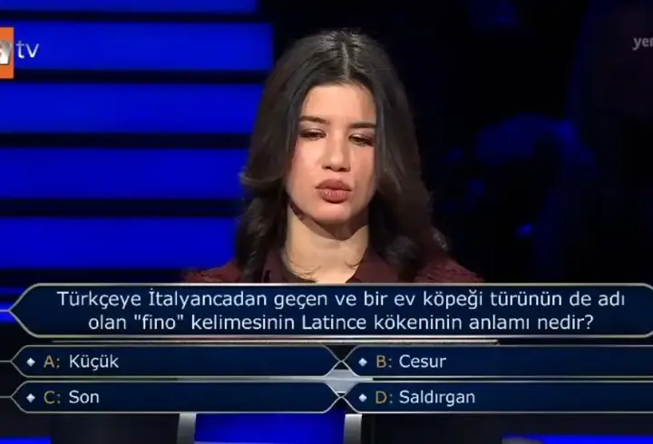 Fino kelimesinin Latince kökeninin anlamı nedir?