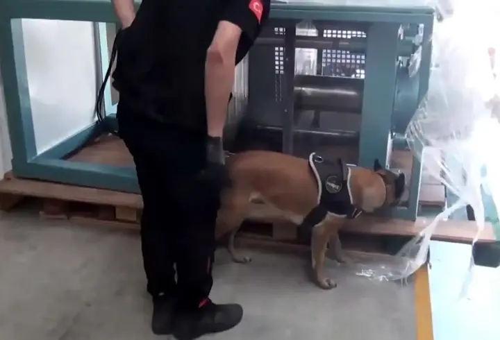 İstanbul'da TIR'da 60 kilogram kokain ele geçirildi; 1 gözaltı