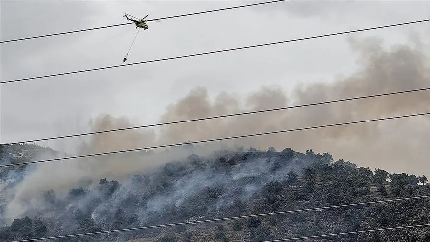 İzmir'de zeytinlik alanda çıkan yangın kontrol altına alındı