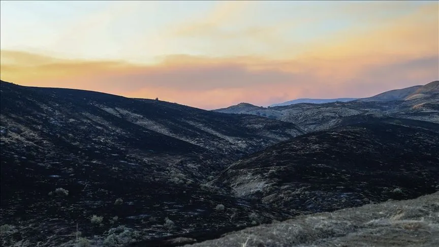 ABD'nin California eyaletinde devam eden orman yangınında, 12 bin hektardan fazla alan yandı