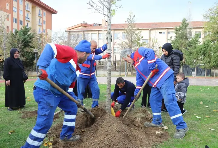 Kağıthane’de ‘Her Bebeğe Bir Ağaç’ uygulaması ile fidan dikiliyor