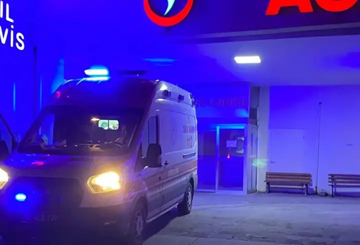 Bir başıboş köpek saldırısı daha! 9 yaşındaki çocuk dehşeti yaşadı