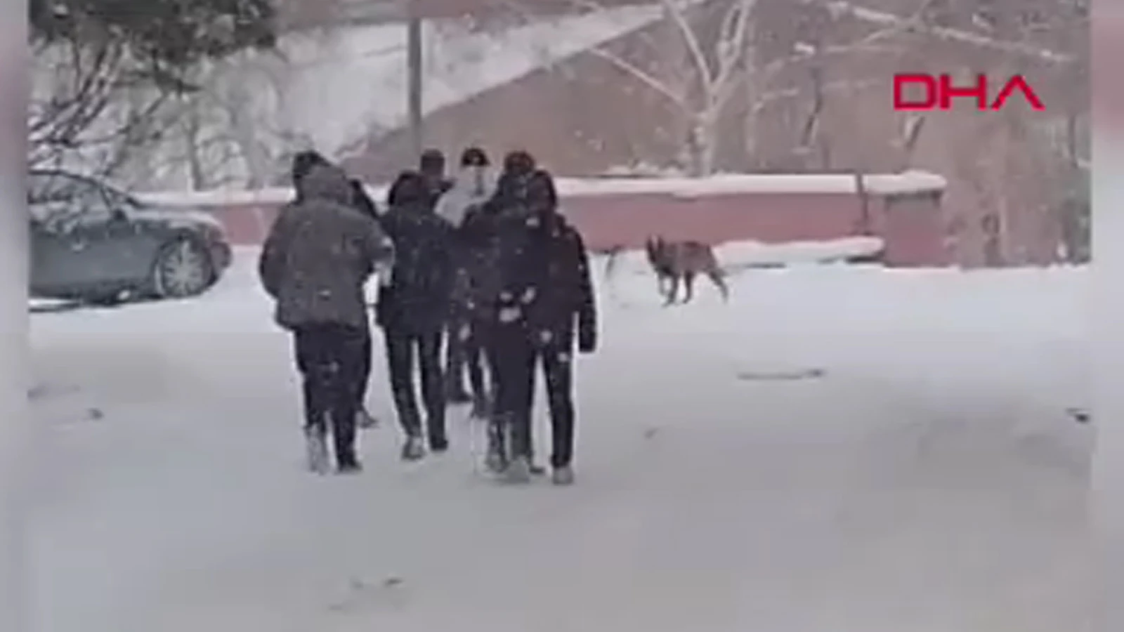 Okul bahçesine giren kurt köpeği öğrencilere saldırdı; 3 yaralı