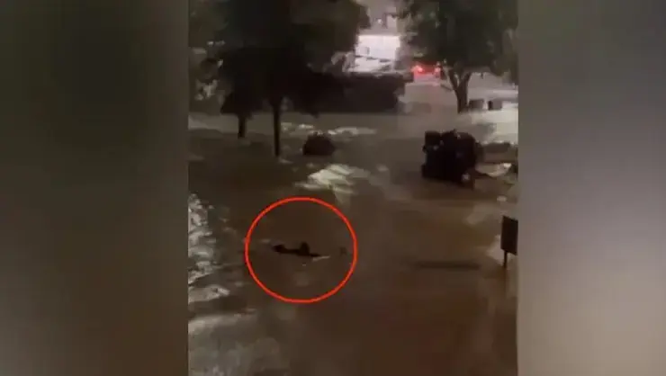 Yer: Sarıyer! Göle dönen caddede akıntıya kapılmamak için yüzdü... O anlar kamerada