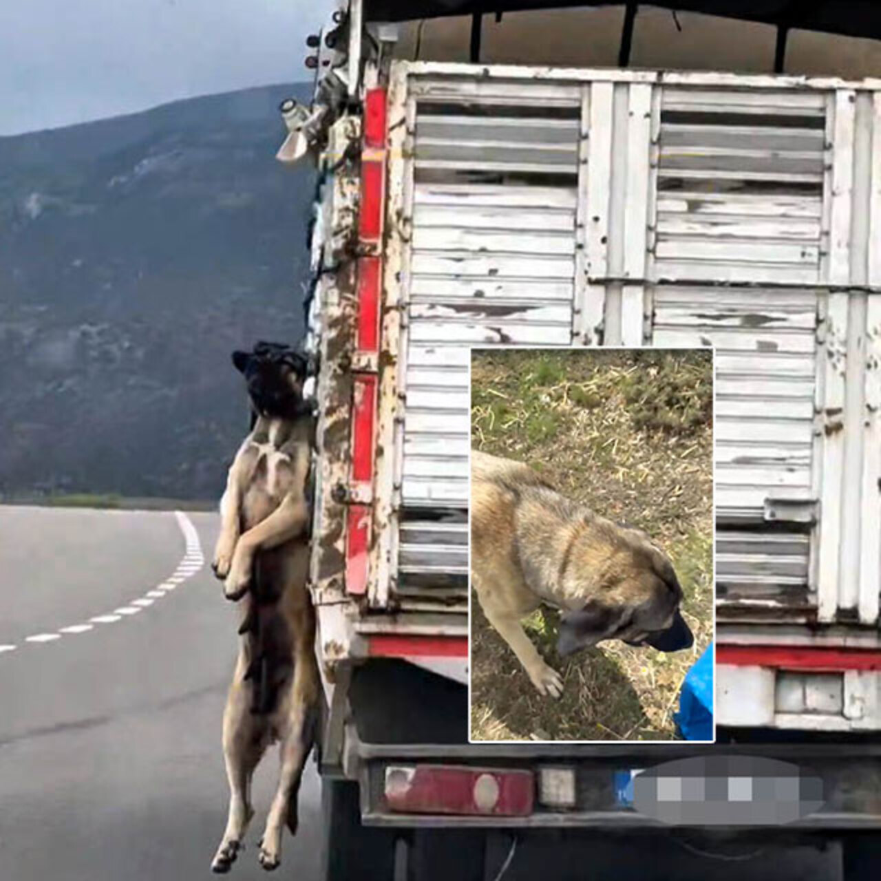 Büyük tepki çekmişti! Gerçek ortaya çıktı!