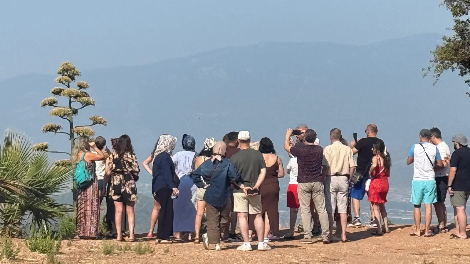 Antalya'da 30 yıl sonra çiçek açtı: Görmek için akın ettiler!