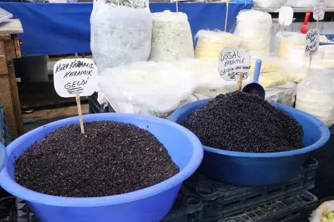Kan Şekerini Bıçak Gibi Kesiyor: Sivas Dağlarının Gizli Şifası Tezgâhlara İndi! Yılda Sadece 1 Ay Tüketilebiliyor