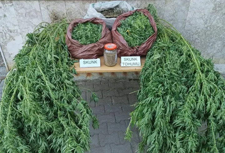 Korkuteli'de uyuşturucu operasyonu