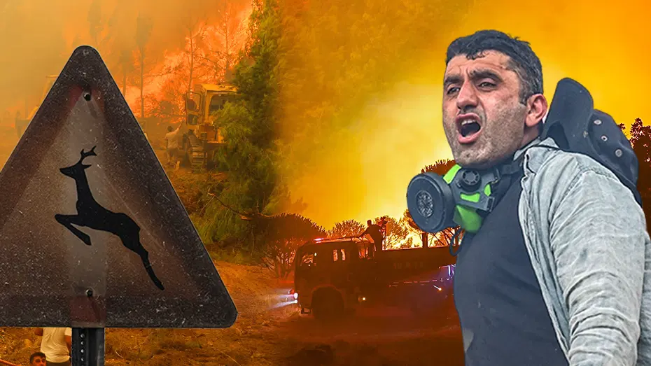 73 orman yangınına soruşturma. 12 tutuklama