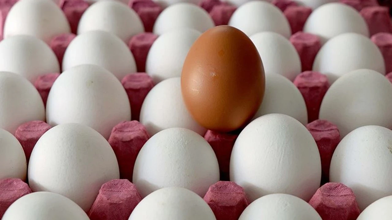 TÜİK açıkladı: Yumurta üretimi yıllık bazda yüzde 4,9 azaldı