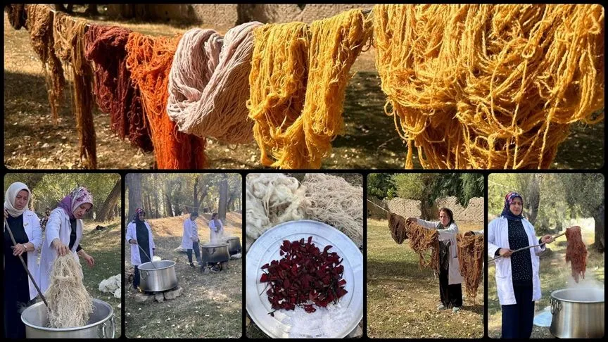 Vanlı kadınlar, iplere doğada topladıkları bitkilerle renk veriyor