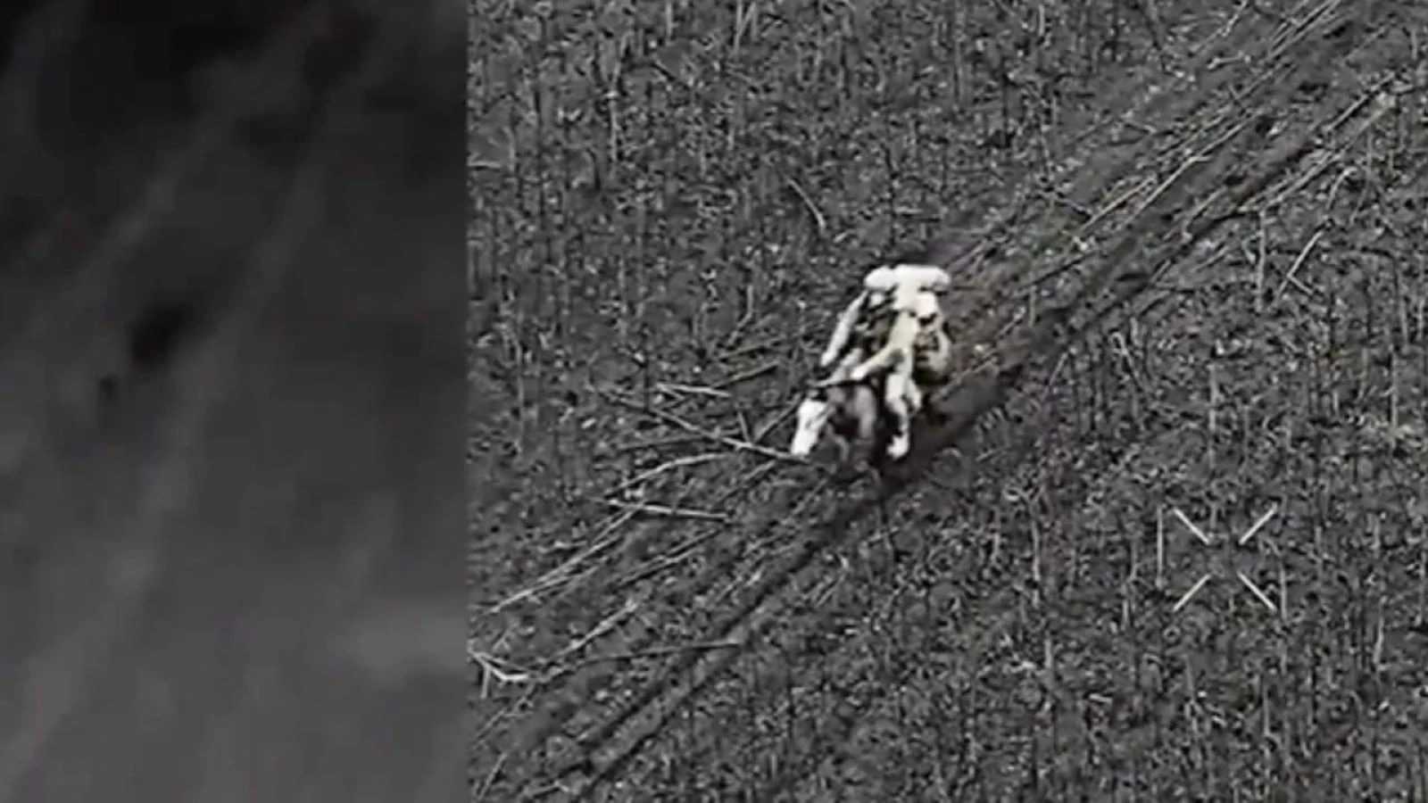 1955'ten bu yana bir ilk: Ukrayna dronları 'atlı Rus askerleri'ni tespit etti