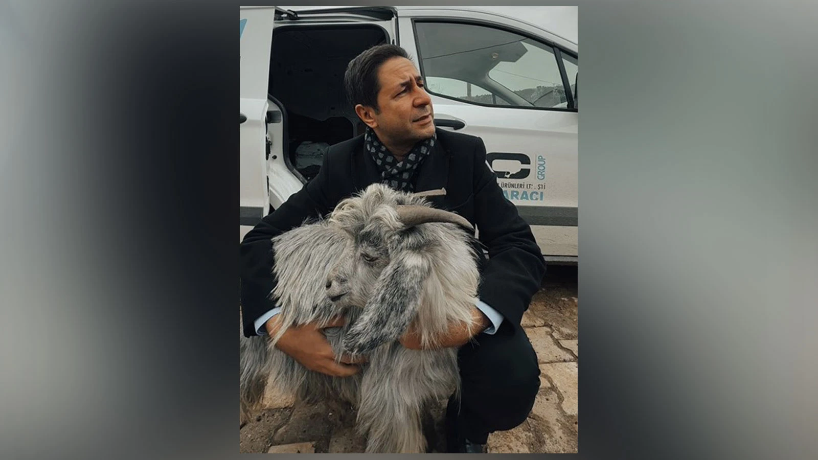 MHP'li vekil Yücel Bulut, eziyet gören keçiyi sahiplendi