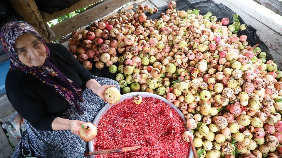 80 Yaşında Aile Geleneği Yaşatmak İçin Kazan Başında: Tek Tek Ayıklanıyor, Kilosu 70 TL