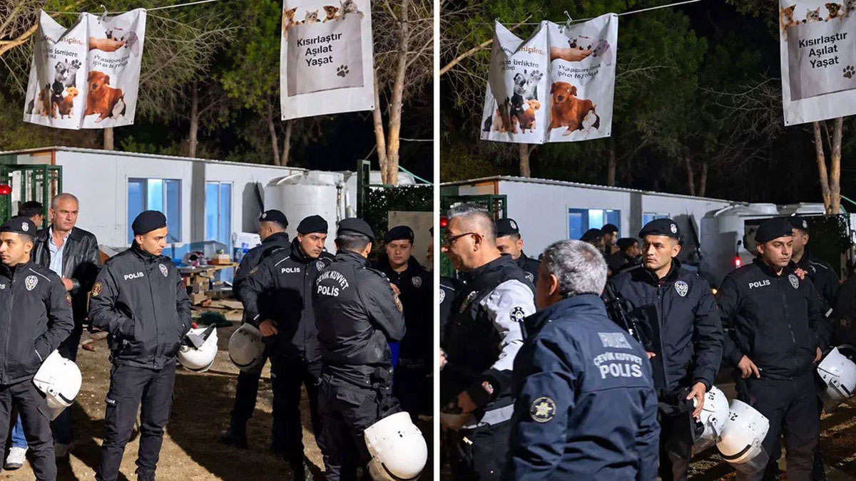 Ege Üniversitesi’nde 200’e Yakın Köpek Toplandı: Akıbetleri Bilinmiyor