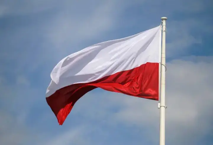 Polonya, Irak’ta görev yapan askerlerini tahliye etti